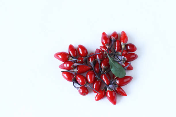 owoce wolfberry - wolfberry berry chinese medicine berry fruit zdjęcia i obrazy z banku zdjęć