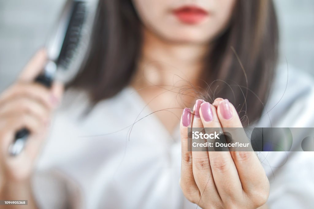 woman hand holding hair fall from hairbrush closeup woman hand holding hair fall from hairbrush Hair Loss Stock Photo