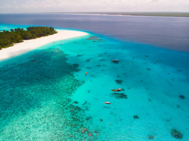 mnemba atoll - lagoon tranquil scene sea water imagens e fotografias de stock