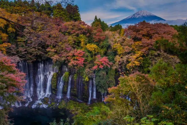 Photo of Shiraito Waterfall in autumn