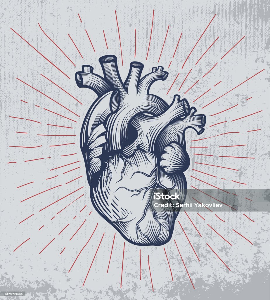 Corazón humano en la técnica del grabado con rayos de estrellas sobre fondo grunge. - arte vectorial de Corazón - Órgano interno libre de derechos