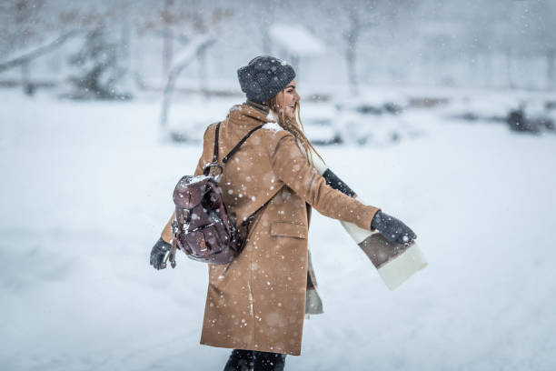 istock Winter in the park 1094916034