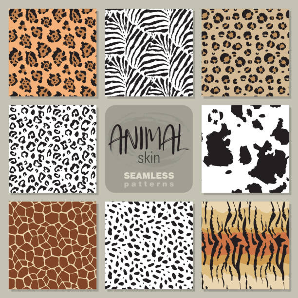 kolekcja ośmiu wzorów wektorowych bez szwu zebra skóry zwierząt, lampart, jaguar, krowa żyrafa. - pattern animal tiger zebra stock illustrations