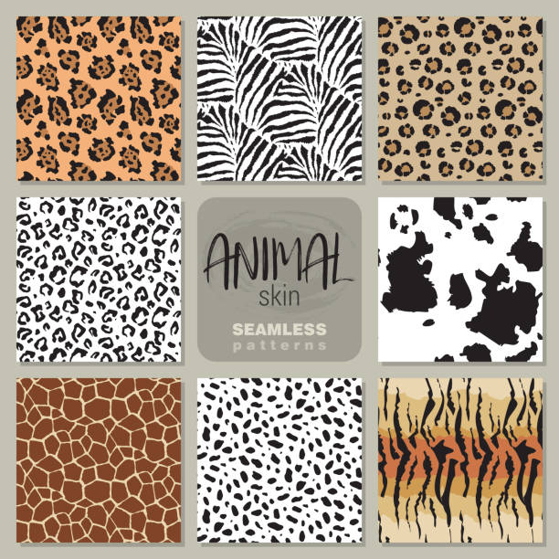 Collection Of Eight Vector Seamless Patterns With Animal Skin Zebra Leopard  Jaguar Giraffe Cow Stock Illustration - Download Image Now - iStock