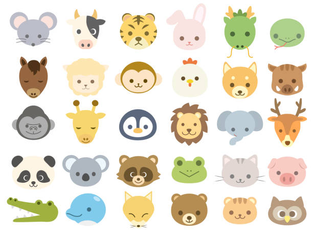 ilustraciones, imágenes clip art, dibujos animados e iconos de stock de icon1 animal - cabeza de animal