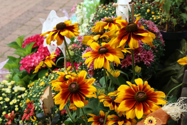 istock Beautiful yellow flowers 1094921346