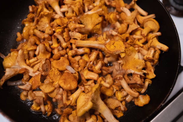 istock mushrooms on black frying pan top view 1094928976