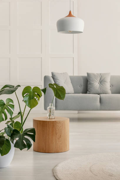 istock Stylish living room with grey couch on the white wall 1094933410