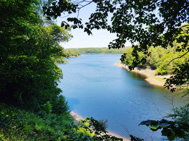 istock On the lake of Gileppe 1094933606