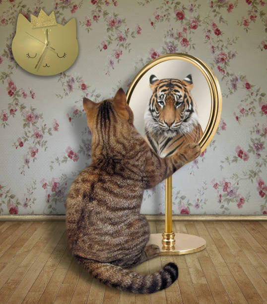 istock Cat looks at a tiger in the mirror 1094933610