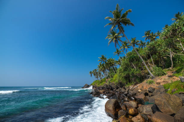 istock beautiful beach and tropical sea 1094942926