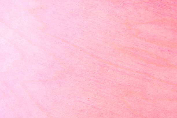 istock pink paper stucco texture background. colored cardboard fibers and grains. empty space concept. 1094954832