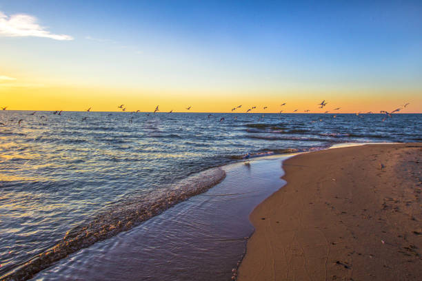 Sunset and seagulls on the wide sandy beach of Lake Michigan