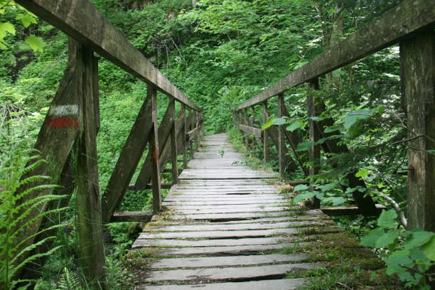 istock Wooden Bridge in Wood 1094960078