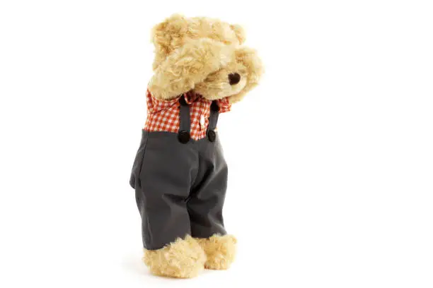Photo of Teddy bear is standing and very sad and crying on whine background