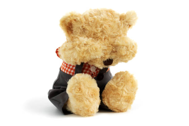 Teddy bear is sitting and very sad and crying on whine background