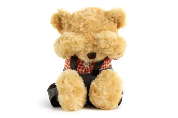 Photo of Teddy bear is sitting and very sad and crying on whine background