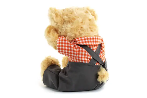 Photo of Teddy bear is sitting and very sad and crying on whine background