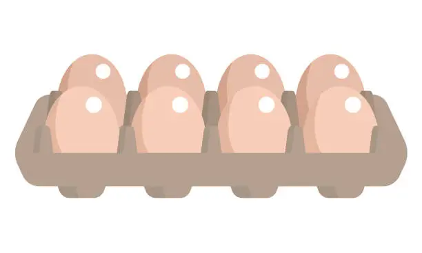 Vector illustration of Organic Egg Pack Isolated on White