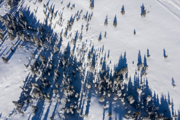 istock Aerial drone view of winter landscape 1094967040