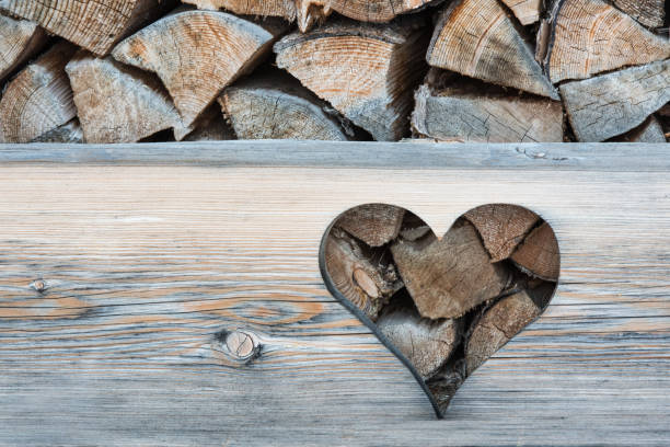 istock Firewood prepared for winter 1094975788