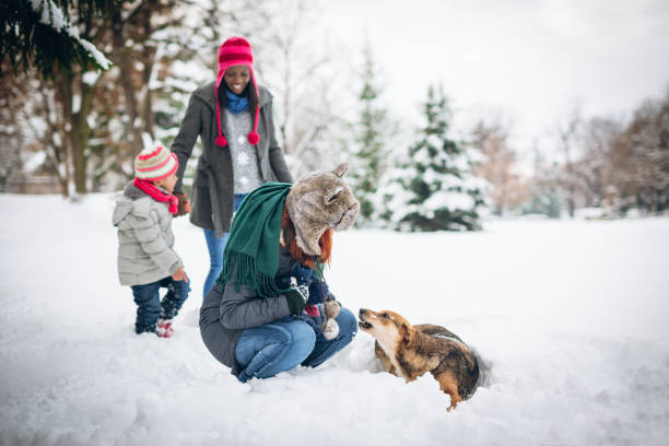istock Playing with dog in snow 1094980538