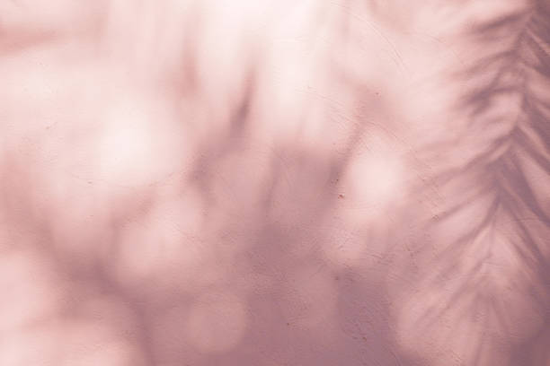 istock abstract background textuer of shadows leaf on a concrete wall 1094983300