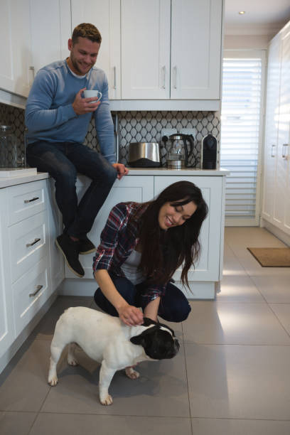 istock Couple having fun with their pet dog in kitchen 1094990106