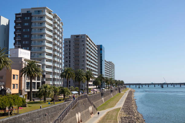 Promenade along the riverside of Oyodo River with palm and phoenix trees Miyazaki, Japan - November 7, 2018: Promenade along the riverside of Oyodo River with palm and phoenix trees miyazaki prefecture stock pictures, royalty-free photos & images