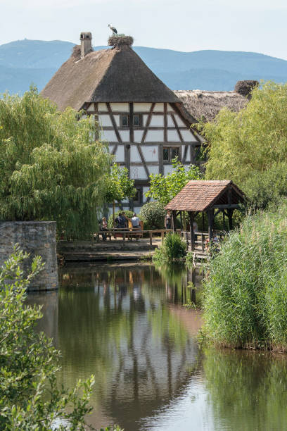 Old traditional  timbered house in front of a pond in the Eco Museum of Alsace  near Mulhouse in France Mulhouse France 10-15-2018. Old traditional  timbered house in front of a pond in the Eco Museum of Alsace  near Mulhouse in France mulhouse photos stock pictures, royalty-free photos & images