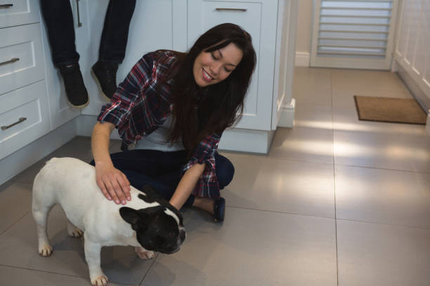 istock Couple playing with their pet dog in kitchen 1094992756