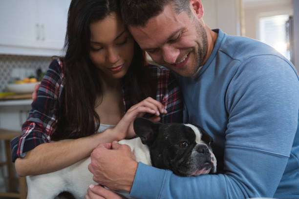istock Couple playing with their pet dog in kitchen 1094992886