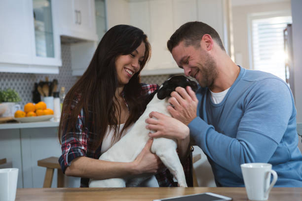 istock Couple playing with their pet dog in kitchen 1094993074
