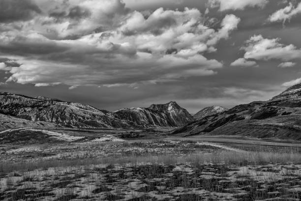 czarno-biały obraz gallatin mountain range w parku narodowym yellowstone - mountain montana mountain peak mountain range zdjęcia i obrazy z banku zdjęć