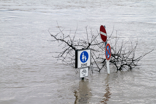 Street signs peak out of the water in a flooded pedestrian zone in Cologne, Germany