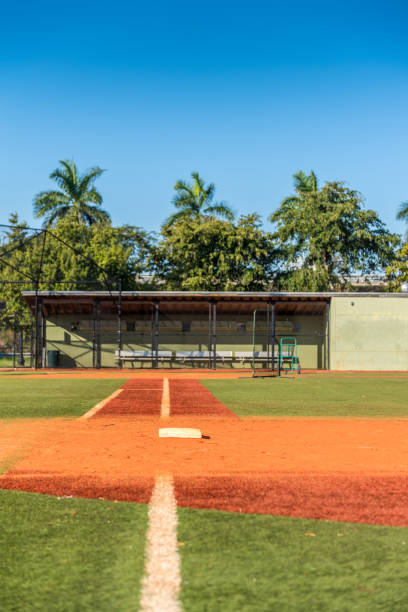 Baseball field Baseball field in a public park in Miami. baseball baseballs spring training professional sport stock pictures, royalty-free photos & images