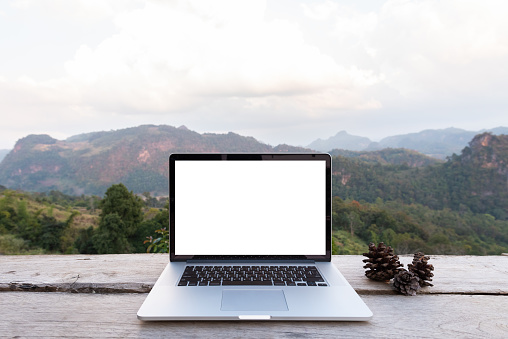 Laptop computer and pine cones on wooden table with mountain view