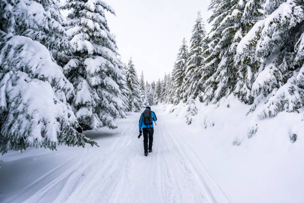 istock Hiker on Karkonosze Mountains in the snow 1095012114