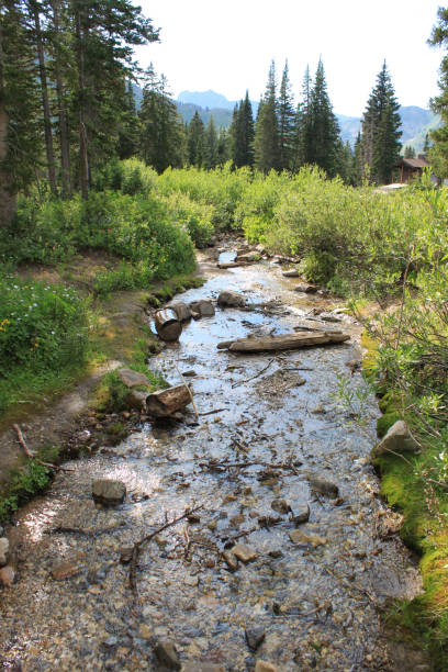 istock Little Cotton Creek Albion Basin Campground Utah 1095013788