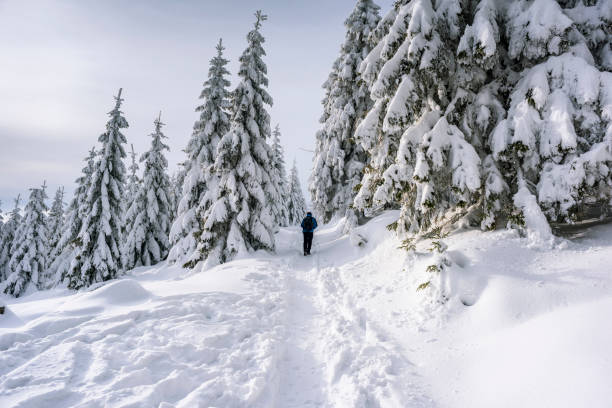 istock Hiking in a winter landscape 1095013902