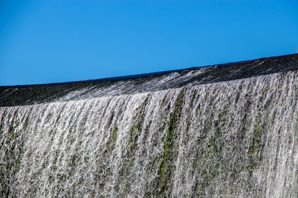 Beautiful waterfall with vegetation and animals in a dam