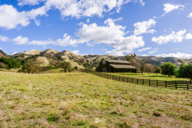 晴れた冬の日、東サンフランシスコ湾岸地区、カリフォルニア サノル地域の荒野の古い農家 - winter agriculture ranch field ストックフォトと画像
