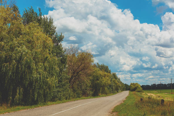 istock Asphalt country road on a sunny summer day 1095027070
