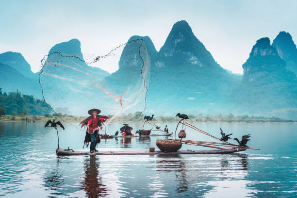 pescatore tradizionale cinese, fiume li - guilin foto e immagini stock