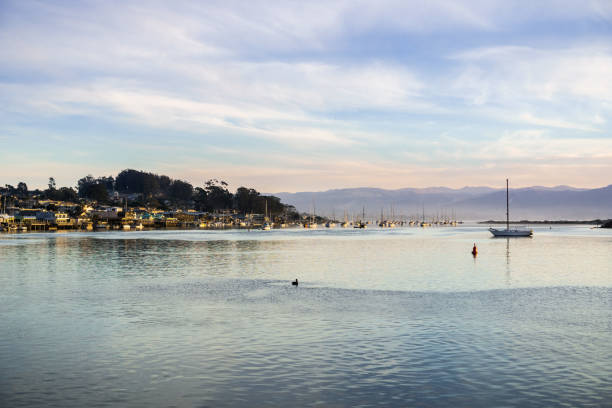 istock Landscape in Morro Bay harbor at sunset; California 1095027992