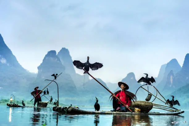 Photo of Traditional Chinese Fisherman, Li River