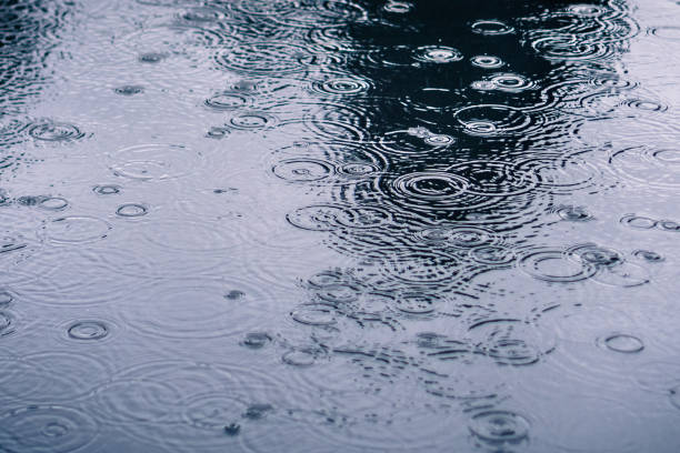 istock Rain drops rippling in a puddle on a dark, rainy day 1095028530