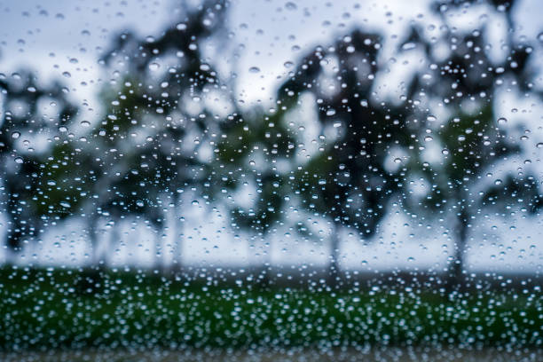 istock Drops of rain on the window; blurred trees in the background; 1095030960