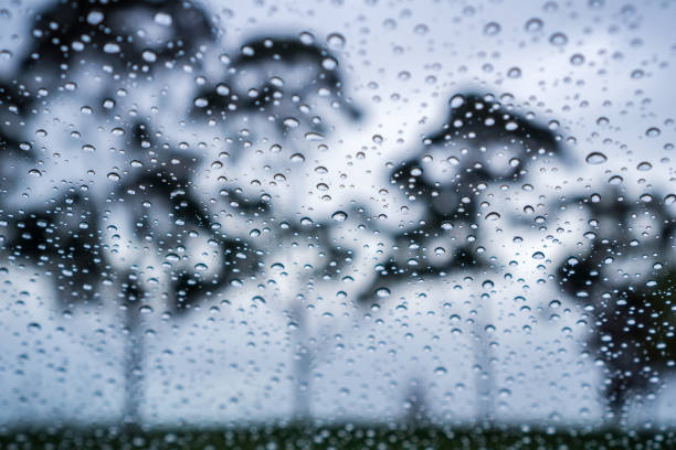 istock Drops of rain on the window; blurred trees in the background; 1095030964