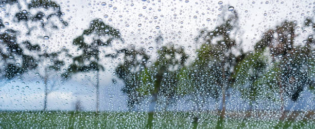 istock Drops of rain on the window; blurred trees in the background; 1095030982